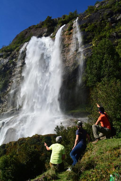 Mitico Puelo Lodge Las Gualas Εξωτερικό φωτογραφία